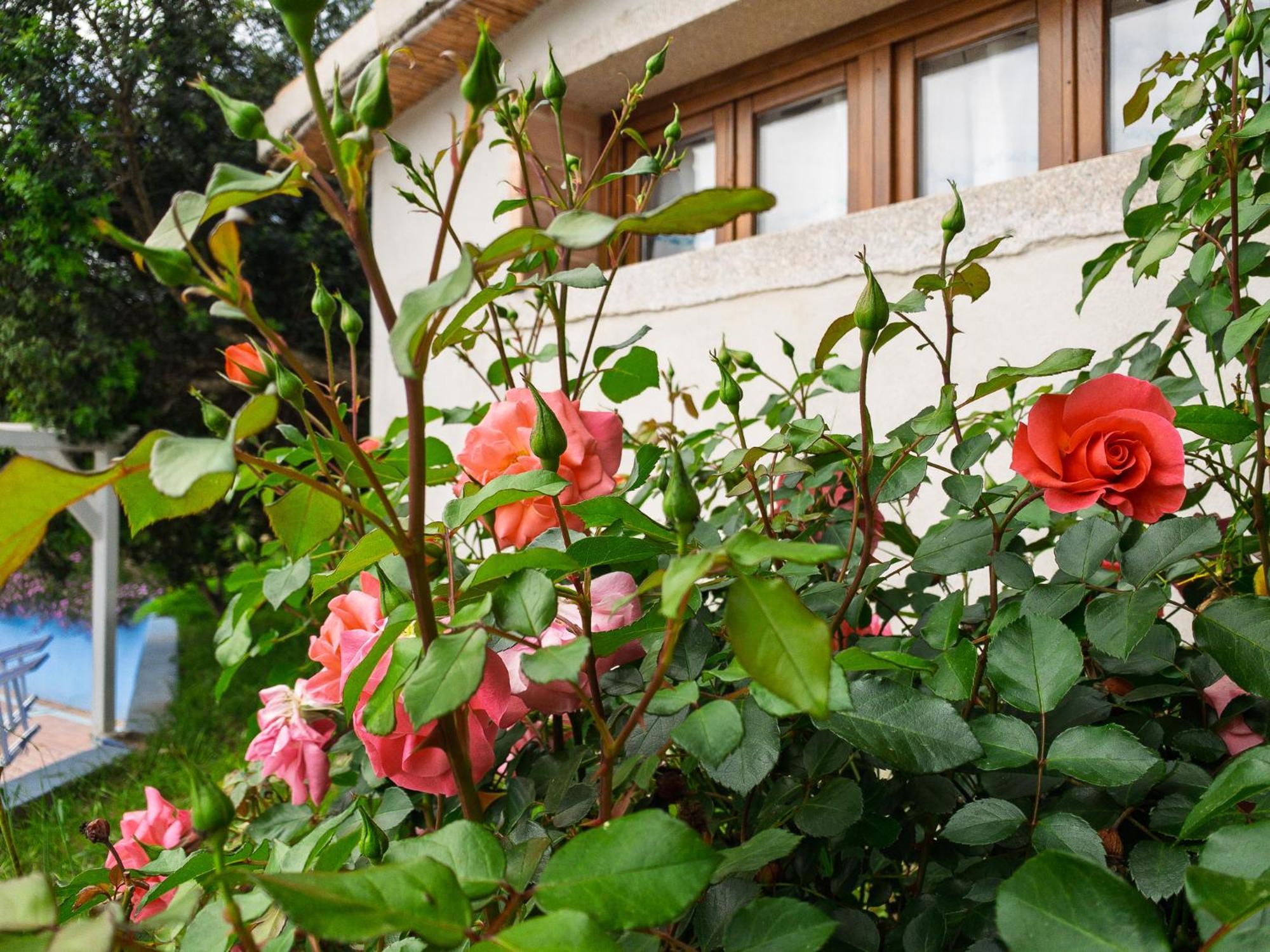 Agriturismo Guparza Posada  Luaran gambar