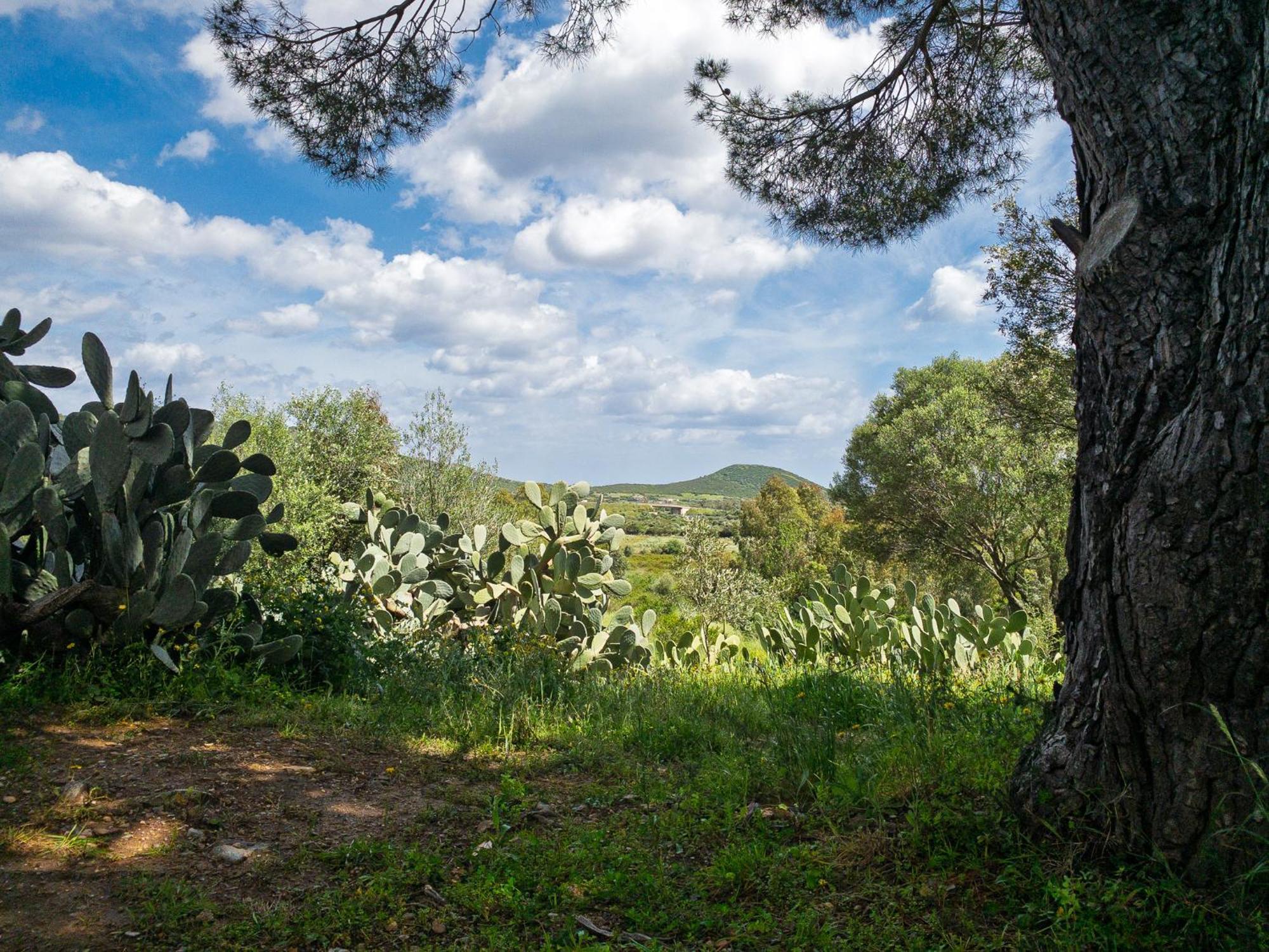 Agriturismo Guparza Posada  Luaran gambar